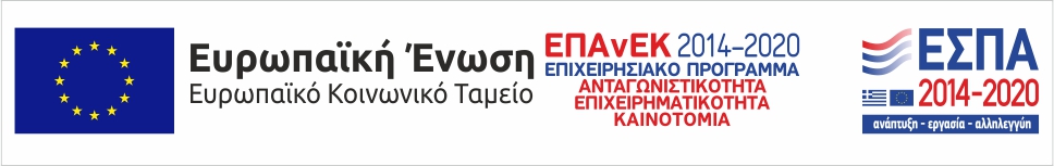 ευρωπαϊκή ένωση ευρωπαϊκό κοινωνικό ταμείο